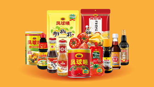 鳳球嘜 以戰略重塑品牌，用視覺點燃味蕾——調味品行業品牌全案策劃解析